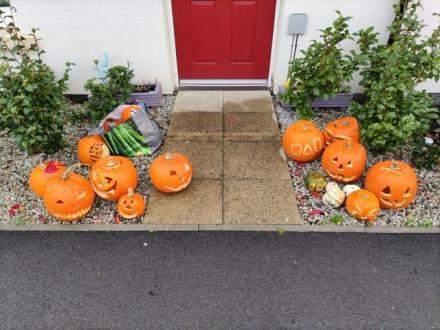 Halloween Pumpkin Trail: Halloween pumpkin fun